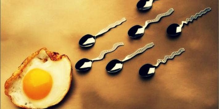 sperm