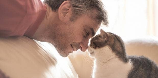 12 Reasons Cat Guys Make The Best Husbands Yourtango