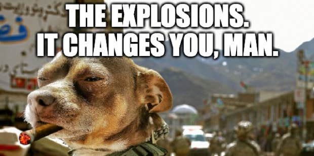 50 Funny 4th Of July Memes & Independence Day Quotes - Vimarsana News
