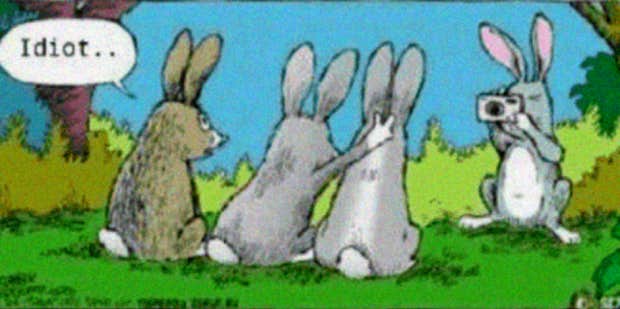 72 Funny Easter Memes That Will Crack Any Bunny Up (2022) | YourTango