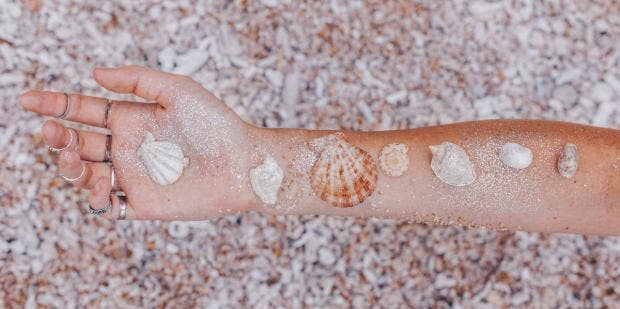 The Choose A Shell Personality Test Reveals Your True Self - Vimarsana News
