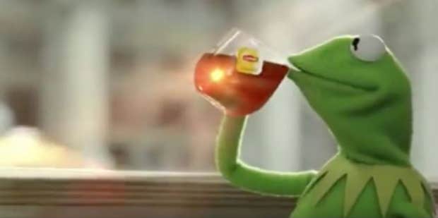 Kermit The Frog Takes The Als Ice Bucket Challenge The Muppets