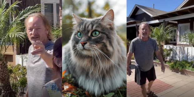 Couple Calls Confused Neighbor A 'Cat Pervert' Because Their Animal Was In His Yard - Vimarsana News