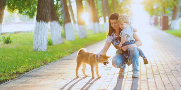 Mom Worried About The Future After Neighbors' Dog Bites Her Toddler - Vimarsana News