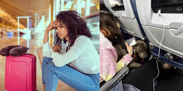 Woman Puts 50 Pound Pit Bull In Fellow Passenger's Seat On Plane - Vimarsana News