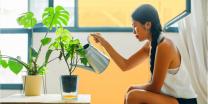 Benefits Of Having Plants In Your Home 