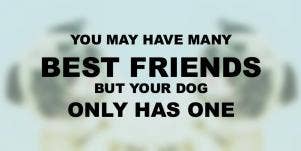 Dogs Are A Girl's Best Friend Quotes