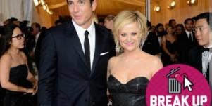 Amy Poehler and Will Arnett