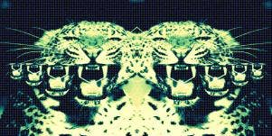 Animalistic Sex Is The Best Sex
