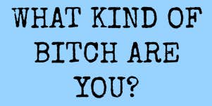 what kind of bitch are you
