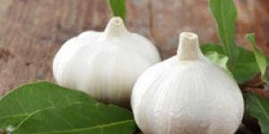 two garlic heads