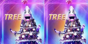 The Masked Singer Spoilers: Who Is The Tree?
