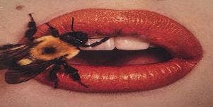 Bee Sex — Melissophilia Is The Latest Sex Fetish