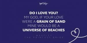 westley the princess bride movie quote