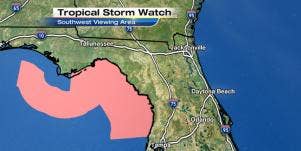 Florida's Penis Hermine Storm Looks Like LONG, HARD Weather!