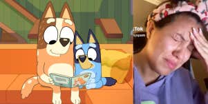 Bluey's mom, Chilli, fan theory