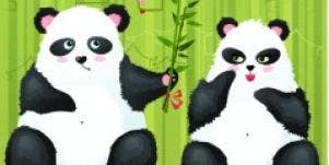 blushing pandas love