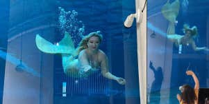 Clearwater Aquarium mermaids