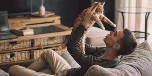 Video Of Kitten Loving On Man Will Hypnotize You With Cuteness
