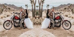 The Real Reason Women Are Attracted To And Prefer Dating Alpha Males And Tough Guys