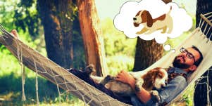man in a hammock with his dog dreaming about dogs