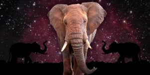elephant symbolism