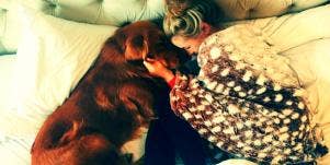 Why Your Emotional Support Animal Doesn't Treat Your Anxiety