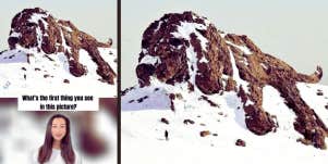 dog mountain visual test