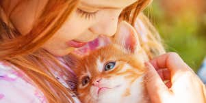 girl, kitten