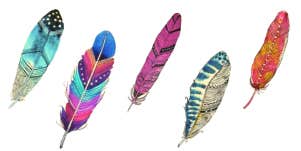 feather personality test