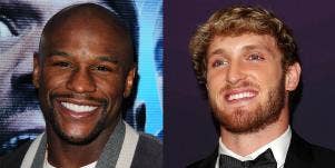 Floyd Mayweather Jr and Logan Paul