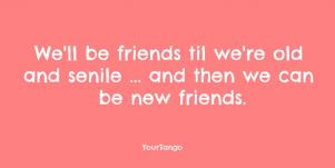 funny friendship quotes