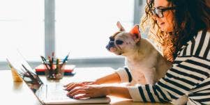 woman with French bulldog sitting at desk