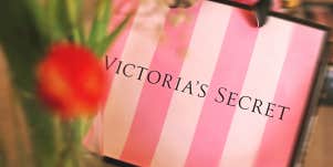 paper bag from Victoria's Secret