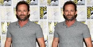 Who Is Luke Perry's Wife? New Details About His Death And Rachel Sharp — Including How Their Marriage Ended