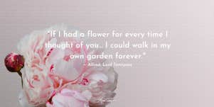 If I had a flower for every time I thought of you I could walk in my own garden forever. Alfred, Lord Tennyson