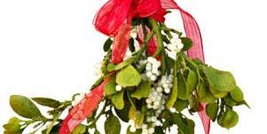 mistletoe