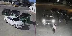 mother throws newborn baby in the dumpster