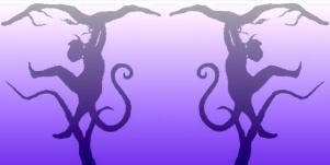 am i impatient quiz optical illusion