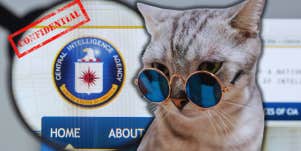 cat in sunglasses on CIA background