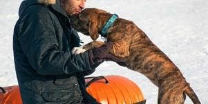 man kissing his dog