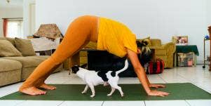 New Moon In Capricorn Rituals To Do On December 26th To Start 2020 Like A Boss