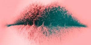 photo of lips that look like trees optical image