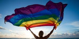 person holding rainbow gay pride flag