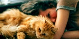 woman who is a loner with her cat