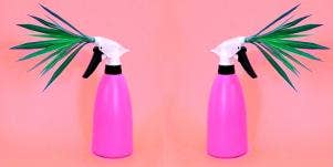 I Sprayed This Vegan Spray On My Vagina So You Don't Have To
