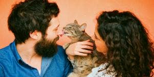 Taurus Relationships Guide
