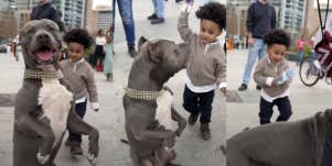 Toddler, dog, water bottle