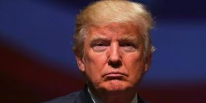 president donald trump