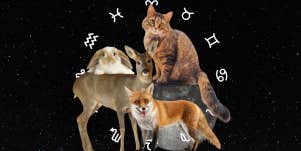 cat, deer, fox, bunny, zodiac sign symbols